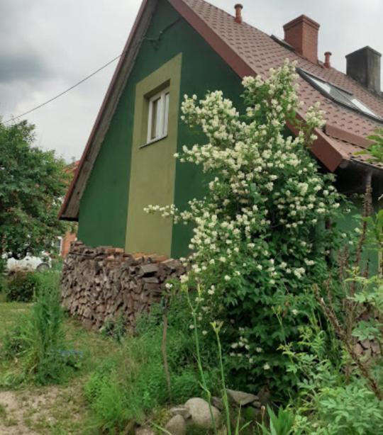 Zielony Domek W Sztynorcie Sztynort エクステリア 写真